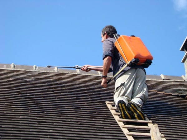 Traitement toiture - Anti-dépôt vert toiture - Algimouss