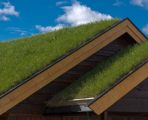 Le point sur la toiture végétalisée