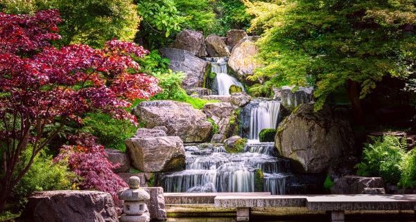 Quelles techniques pour réussir un jardin japonais ?