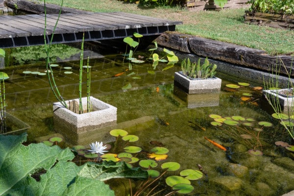 Comment réaliser l'aménagement d'un bassin de jardin ?