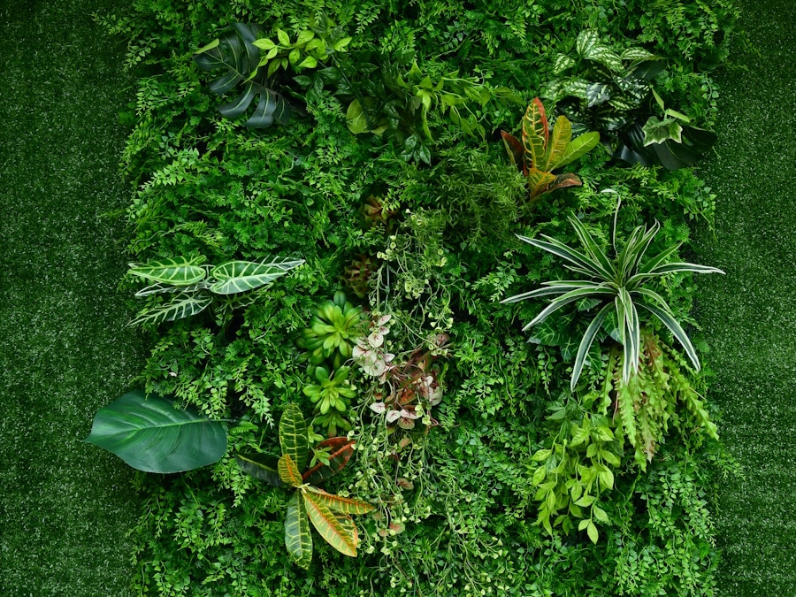 Un mur végétal extérieur